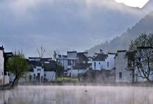 城市绿洲别墅，上海前院后花园，尽享自然与奢华